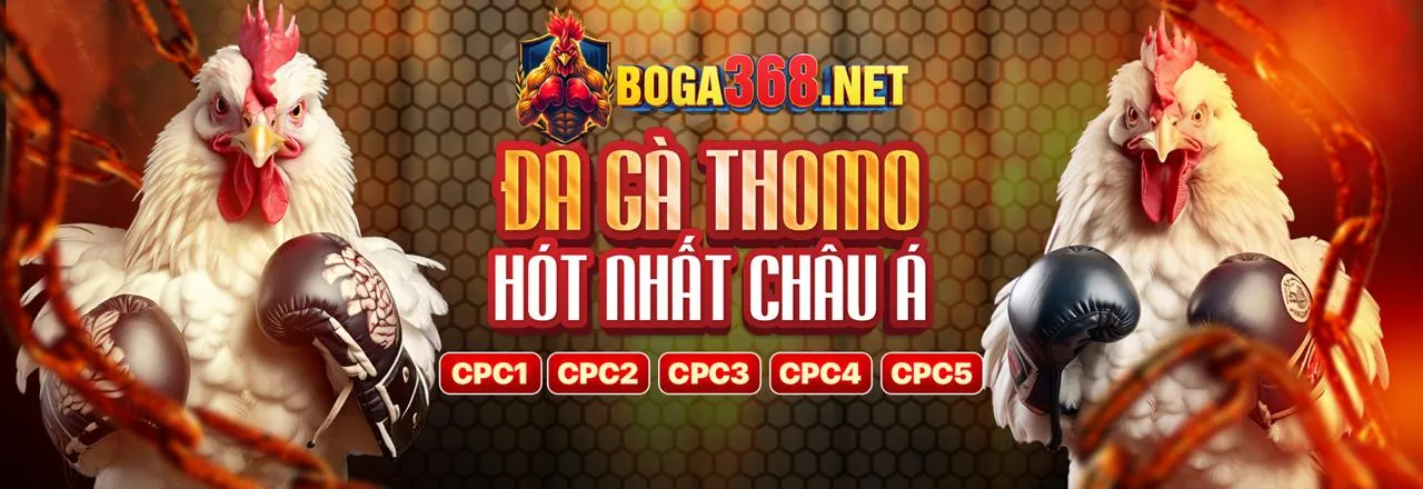 Khuyến mãi độc quyền cá cược bóng đá bet 52